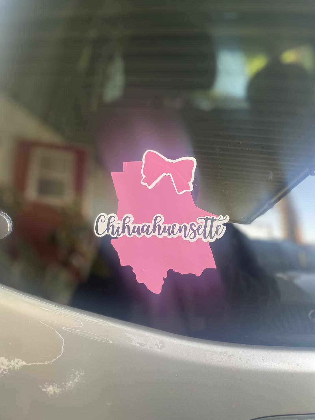Coquette Mexican Vinyl Decals
