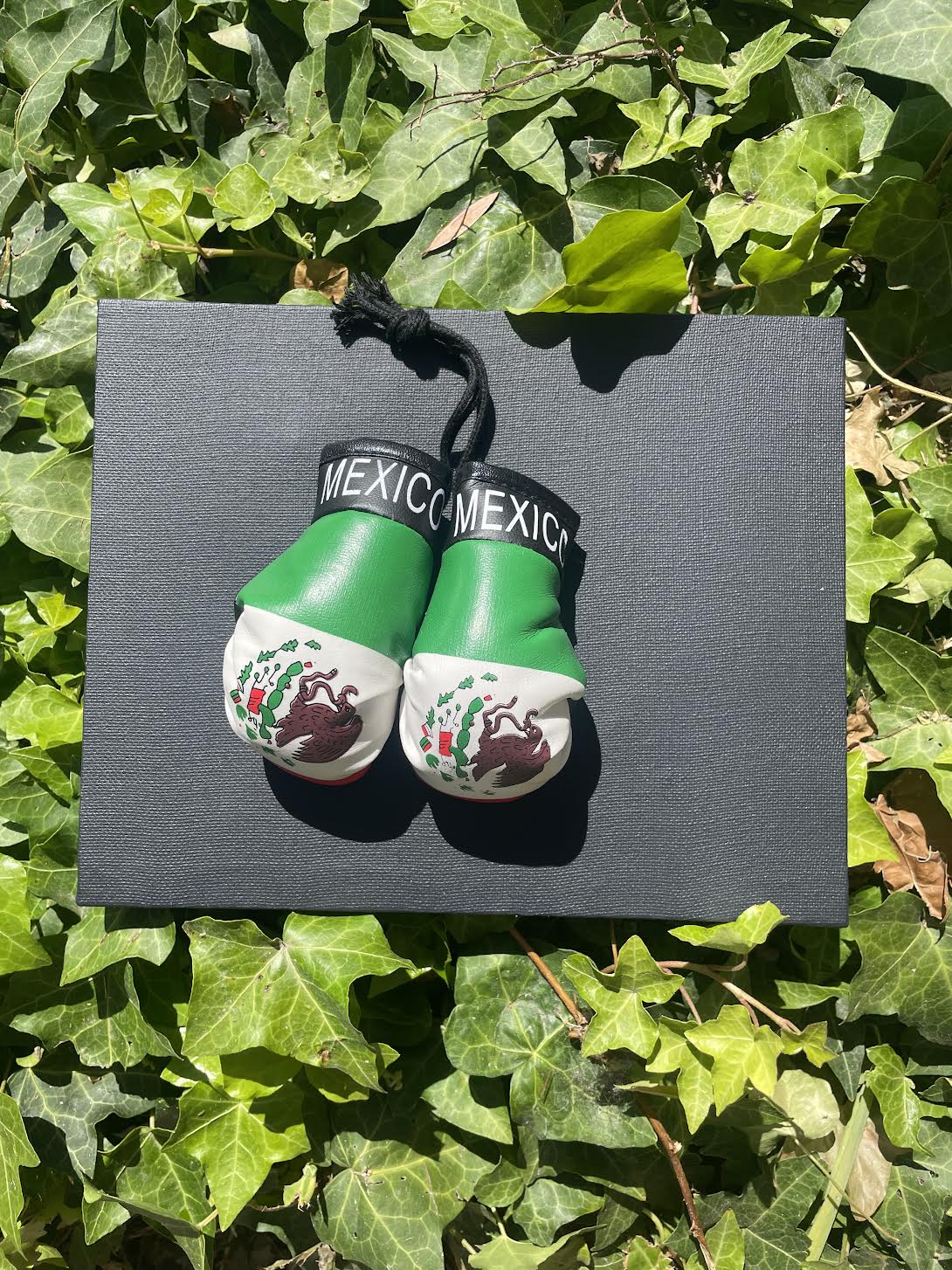 Mexico Flag Mini Boxing Gloves Car Accessory