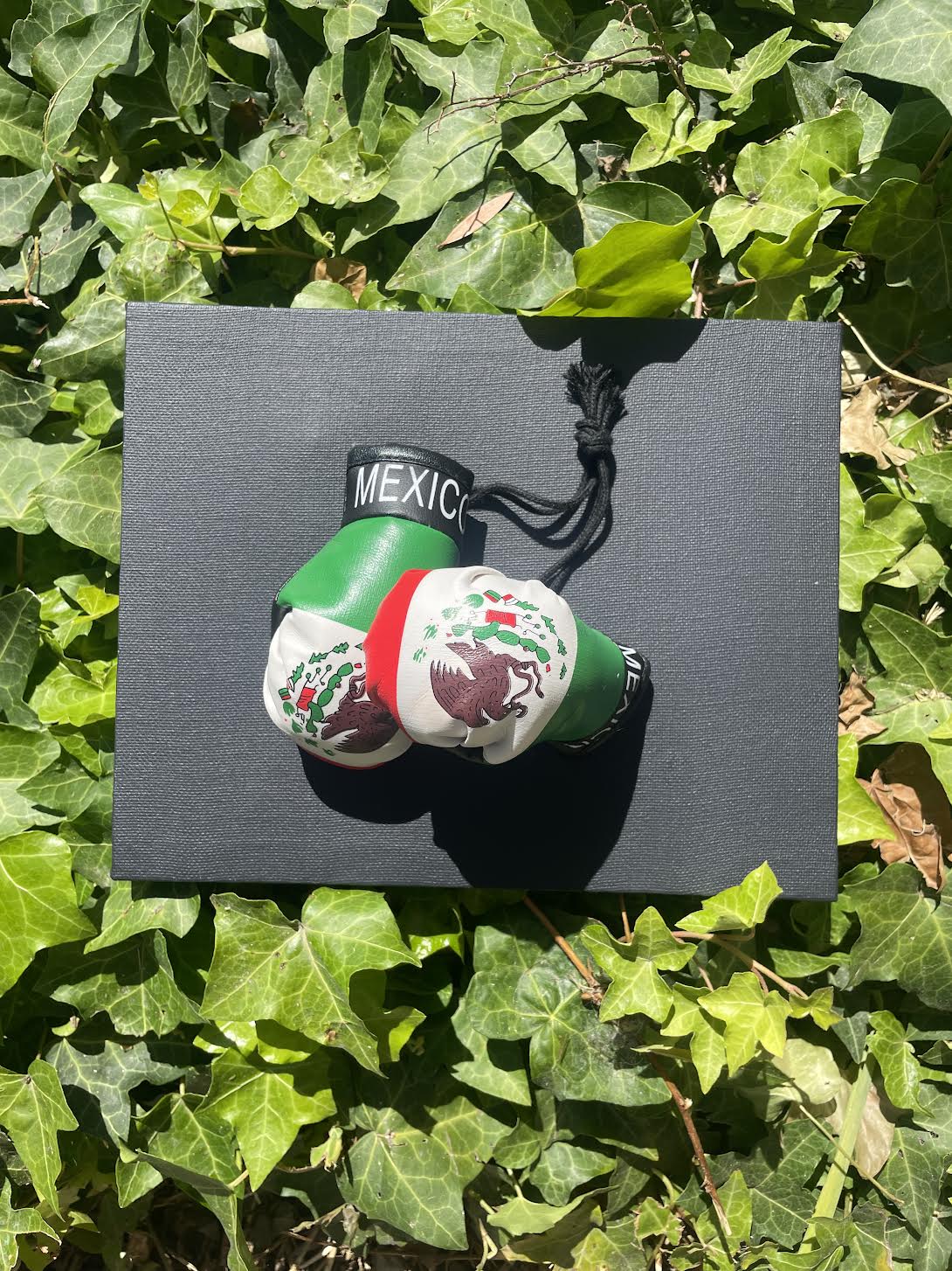 Mexico Flag Mini Boxing Gloves Car Accessory