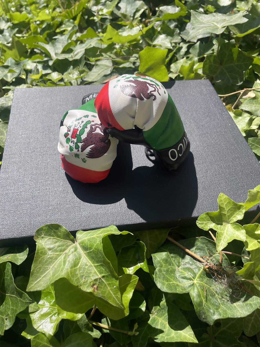 Mexico Flag Mini Boxing Gloves Car Accessory