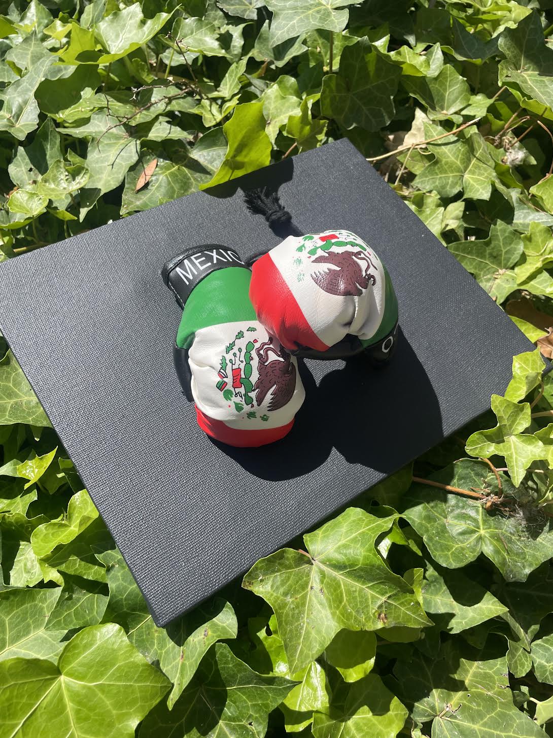 Mexico Flag Mini Boxing Gloves Car Accessory