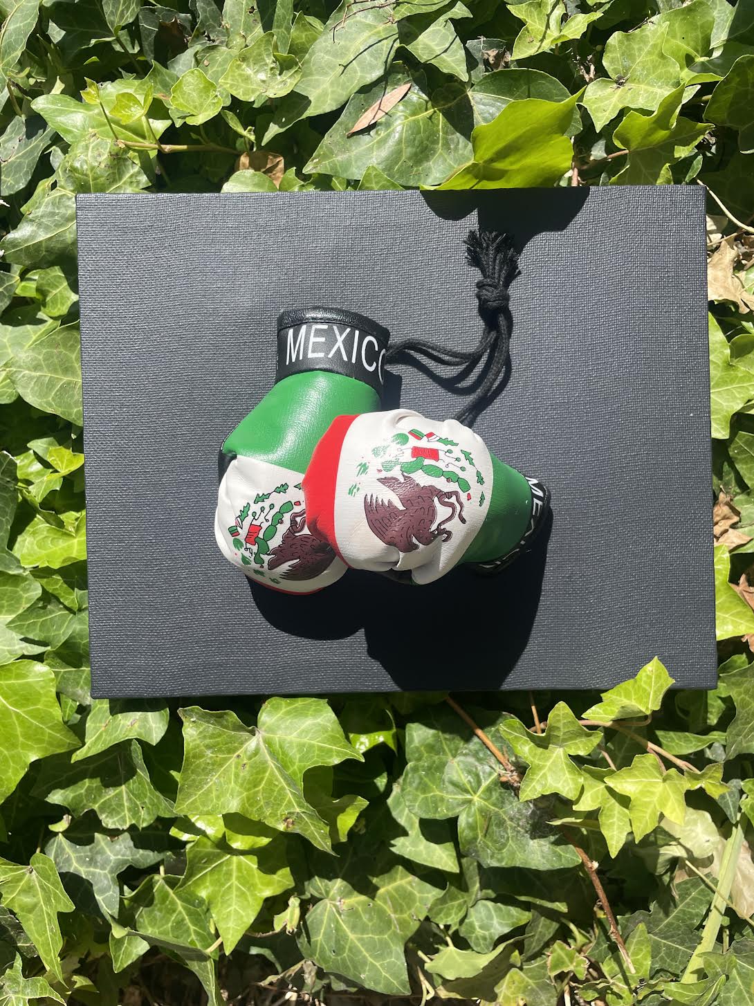 Mexico Flag Mini Boxing Gloves Car Accessory