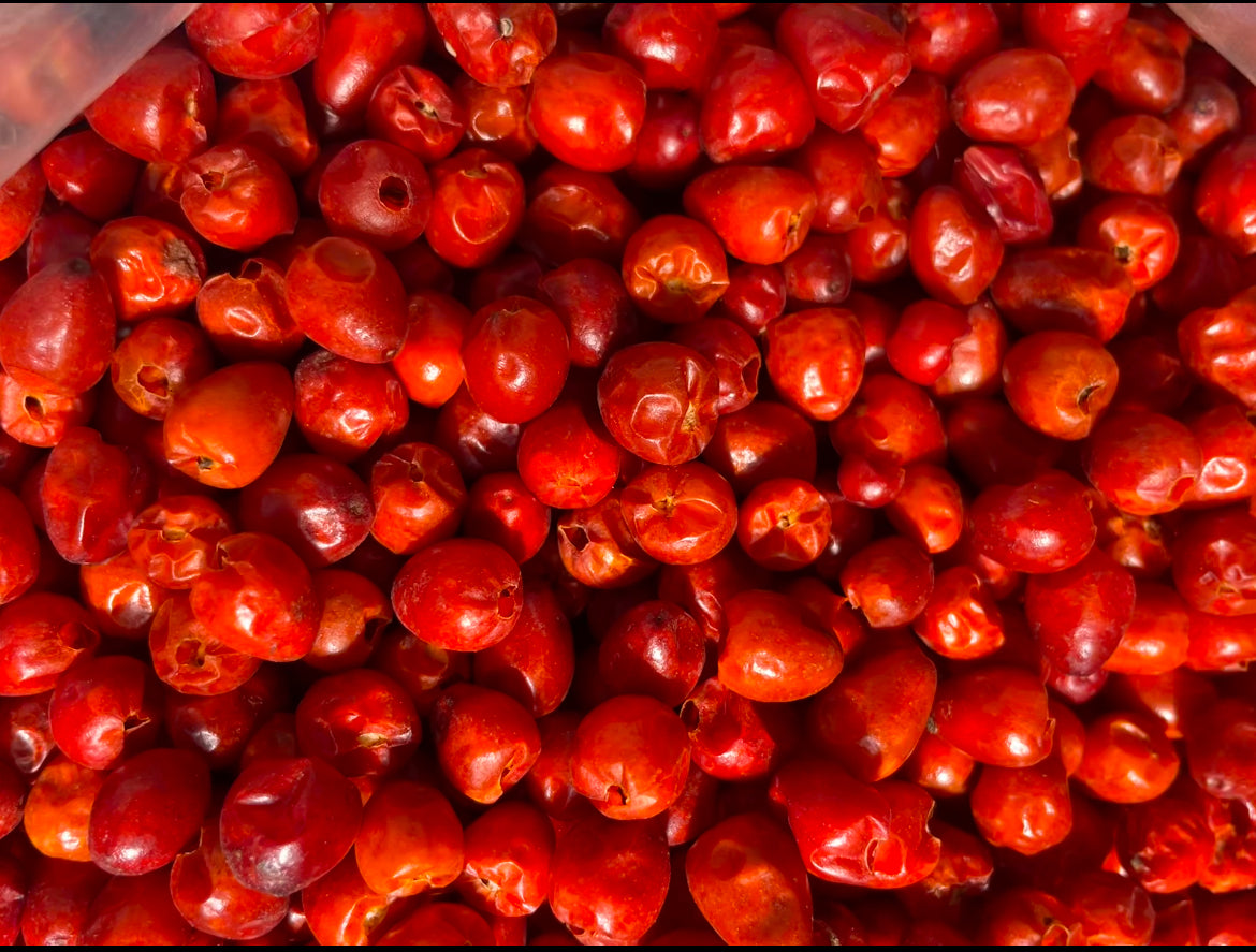 Chiltepin de Sinaloa 8oz bag (1/2 Lbs)